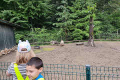 Sikaloo ZOO