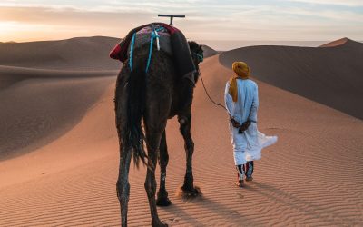 Radovedni popoldnevi: SAVDSKA ARABIJA – potopisno predavanje